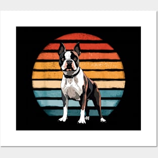 Boston Bull Terrier Vintage Dog Retro Dogs Owner Posters and Art